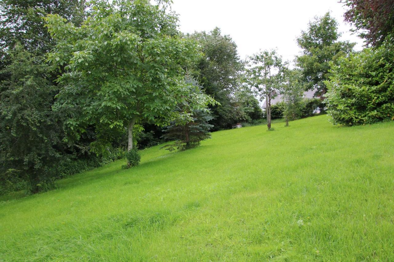 Ferienhaus Eifelnest Scheid  Екстер'єр фото